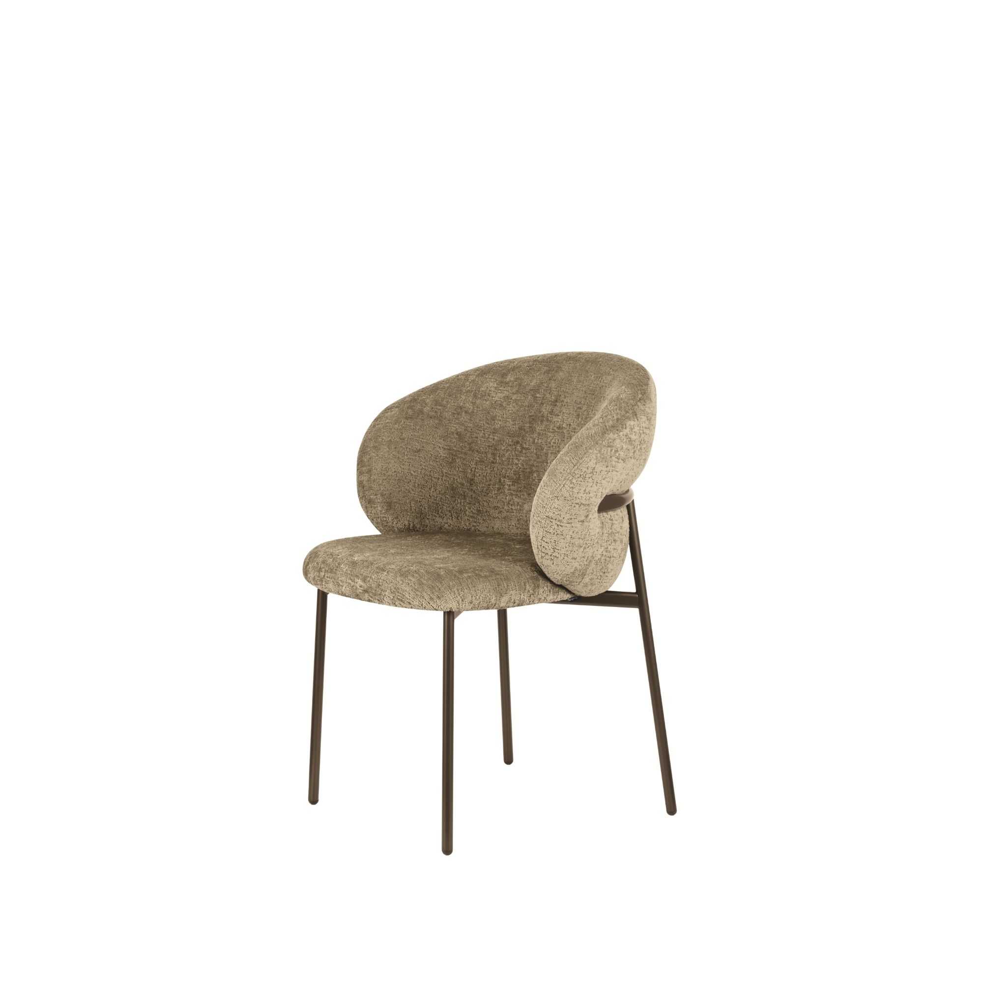 CS2222 OLEANDRO